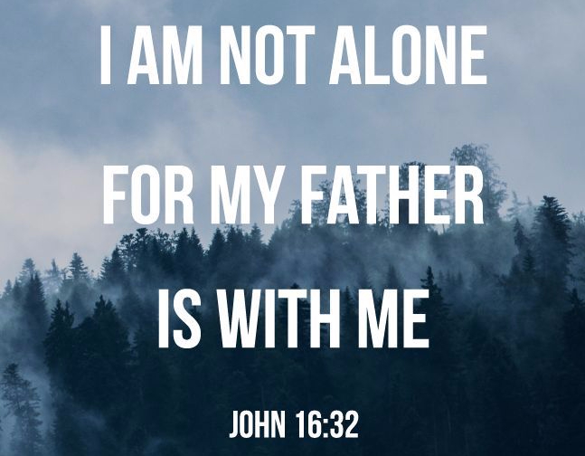 116960314a770eda5b1b36b081eb4d1f