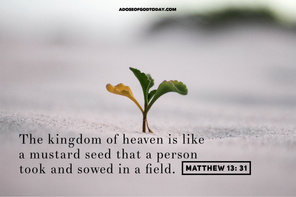 God growing in&nbsp;us