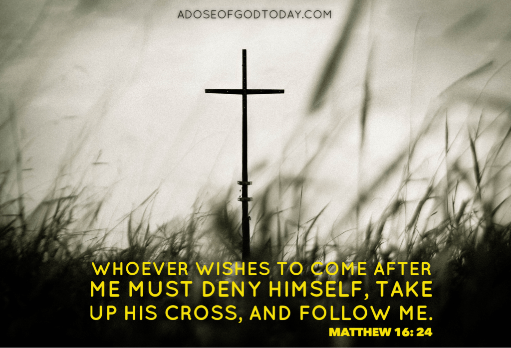 Life Again OR Anew? Normal Life OR New&nbsp;Life?