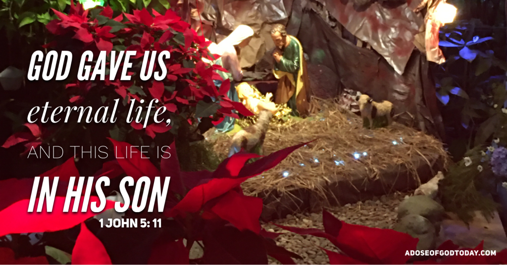 Life is in&nbsp;Jesus