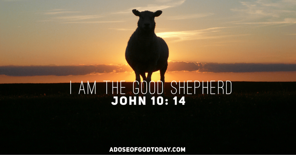 “Feel Ko? Feel&nbsp;Mo?”