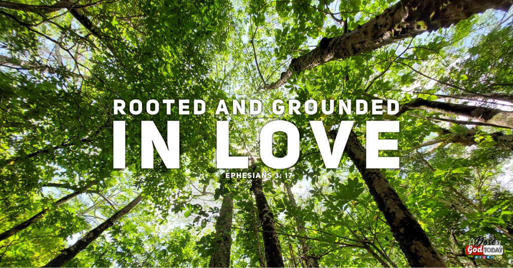 ROOTED AND GROUNDED IN&nbsp;LOVE