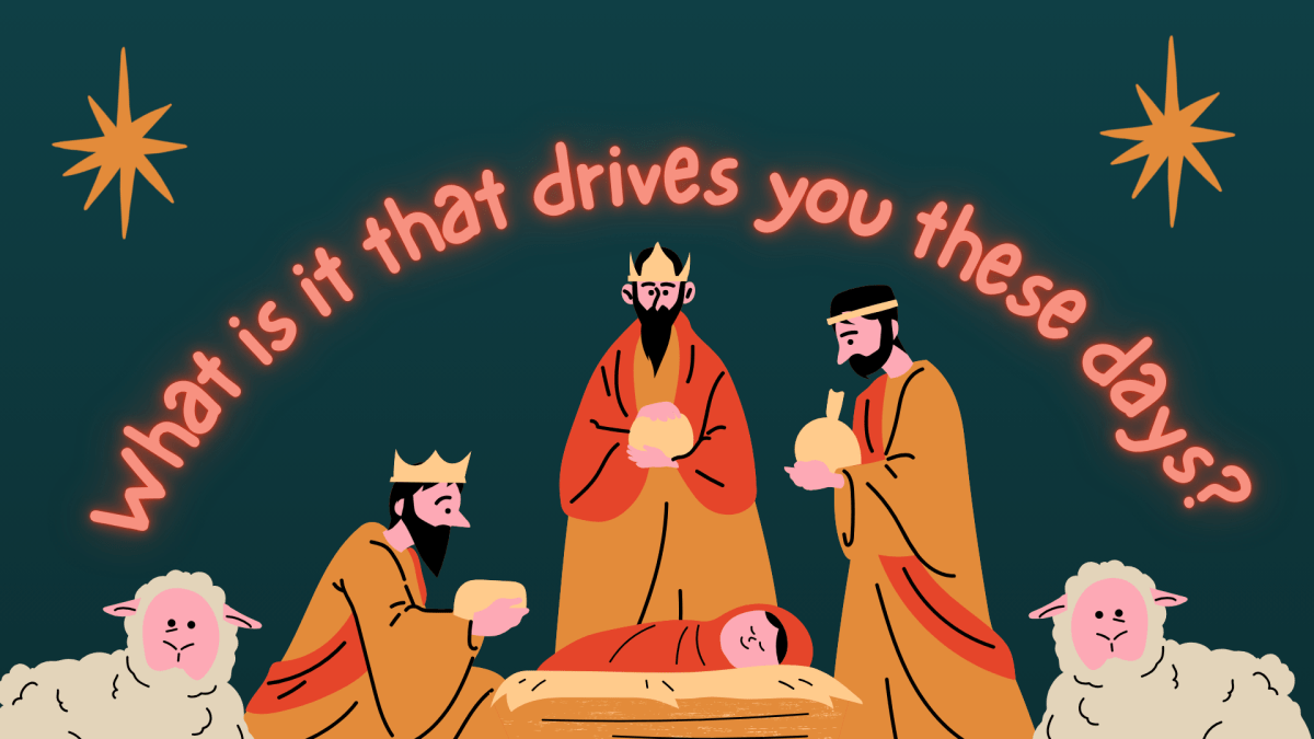 Following the Star That Truly&nbsp;Matters